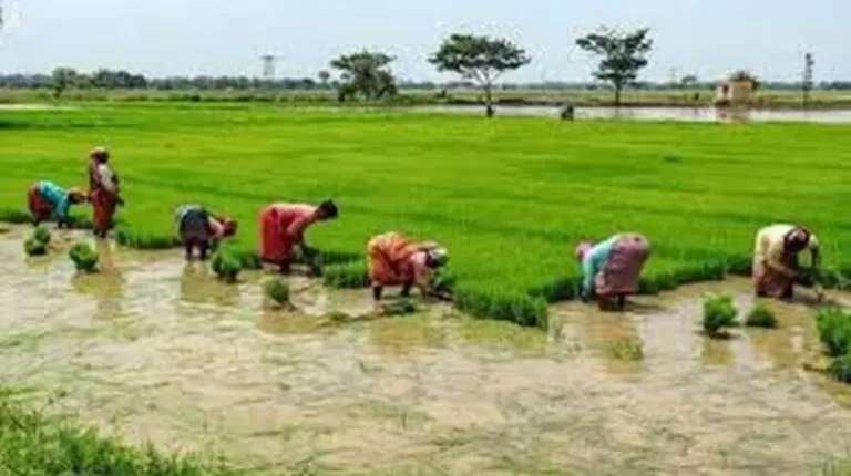 1230255-farmerkisan09dfb-770x430.webp.webp
