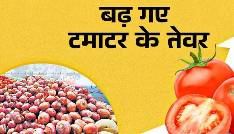 1234793-tomato-price-hike.webp.webp